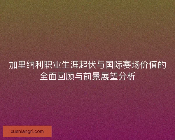 加里纳利职业生涯起伏与国际赛场价值的全面回顾与前景展望分析