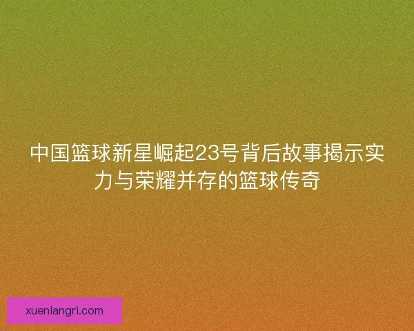 中国篮球新星崛起23号背后故事揭示实力与荣耀并存的篮球传奇